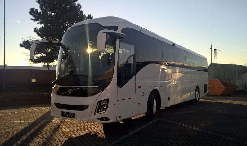 Poland: Bus hire in Santa Cruz in Santa Cruz and Poland