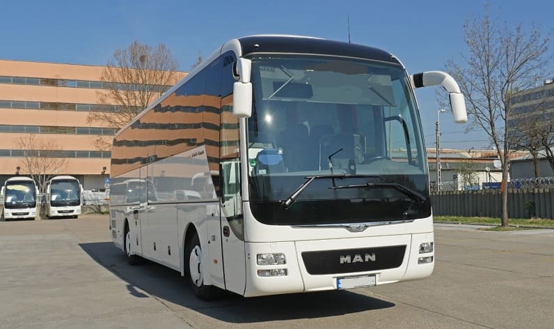 Poland: Buses operator in Podkarpackie in Podkarpackie and Poland