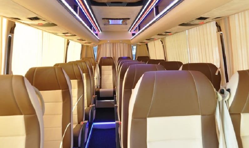 Poland: Coach reservation in Lesser Poland in Lesser Poland and Cracow